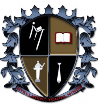 Intelligent Young Minds Logo